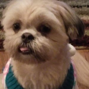 Meet your Posher, Beverly